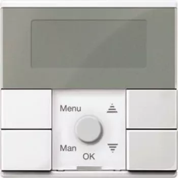 Merten Timer Switch-Module Standard (MEG5754-0325)