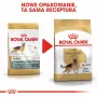 Sucha karma dla psa Royal Canin German Shepherd Adult, 11 kg — duża rasa, drób, 24% białka, 19% tłuszczu