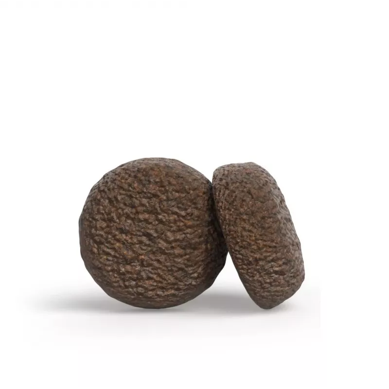 JOSERA YoungStar - sucha karma dla psów - 12,5kg