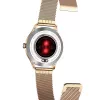 Smartwatch MaxCom FW42 GOLD Gold