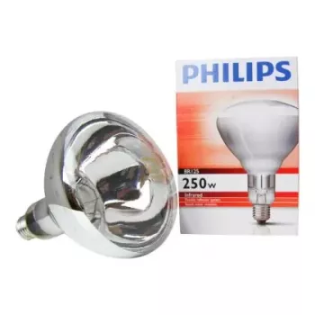 Philips 60800122044 żarówka 250 W