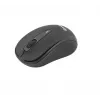 Bezprzewodowa mysz Tellur Basic Mini czarna Interfejs