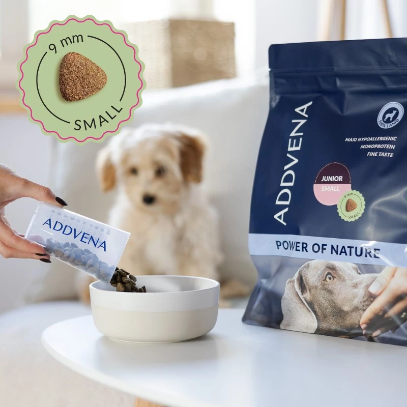 ADDVENA Power of Nature Junior Small Lamb - sucha karma dla psów - 10kg