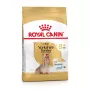 Sucha karma dla psa Royal Canin Yorkshire Terrier 8+ 1.5 kg — drób, senior małej rasy, 29% białka, 18% tłuszczu