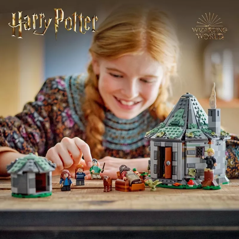 LEGO HARRY POTTER 76428 Chata Hagrida - Niespodziewana wizyta