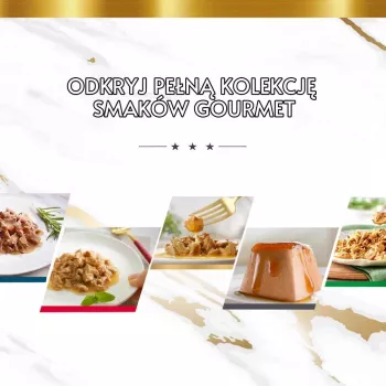 Multipak mokrej karmy dla kota Purina Nestlé Gourmet Gold Mus Mix 48×85 g puszek różne smaki