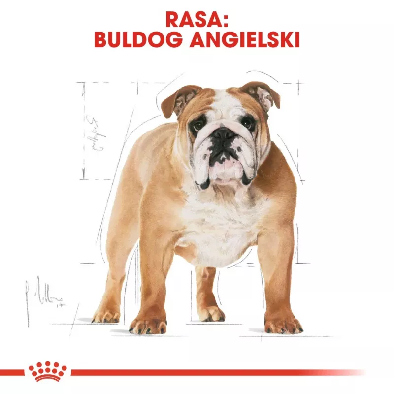 Royal Canin Bulldog Adult sucha karma dla psów, 12 kg