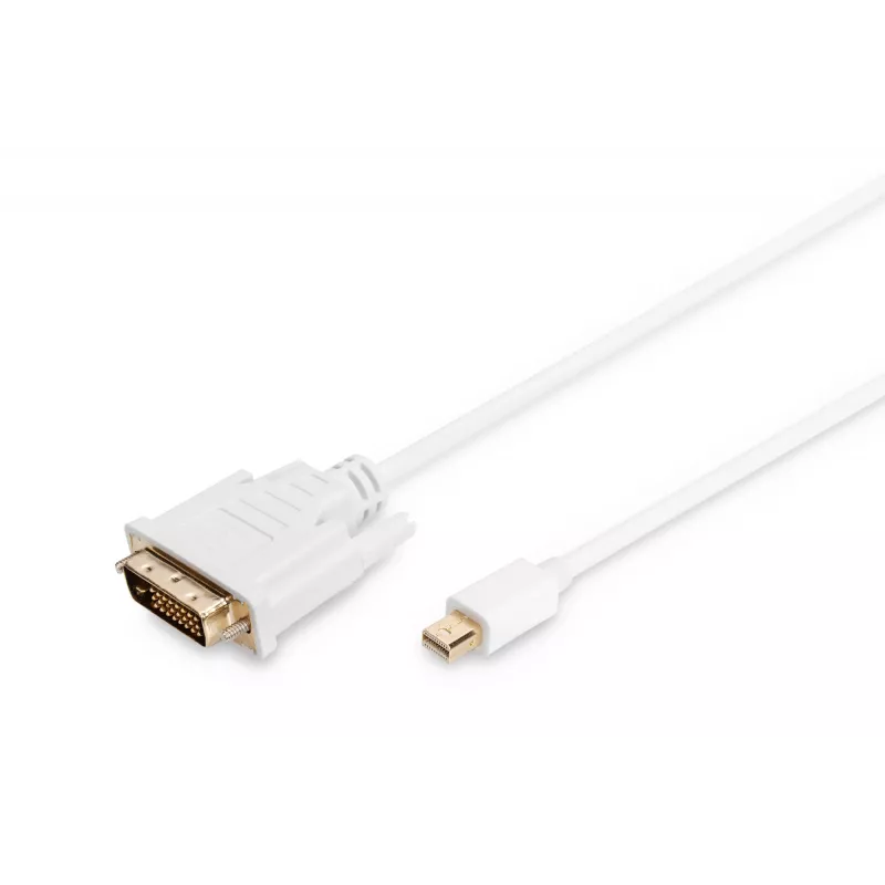 Kabel DisplayPort 1.1a mini DP-DVI typ A MM 2,0m