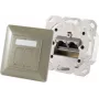 Gniazdo sieciowe 2 x RJ-45 ShiverPeaks 74280-GR — Cat6a, 500 MHz, obudowa metalowa, szary/srebrny