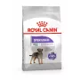 Royal Canin Mini Sterilised sucha karma dla dorosłych psów, 8 kg