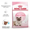 Sucha karma dla kota Royal Canin Mother & Babycat 2 kg — kurczak, dla kotek ciężarnych, karmiących oraz kociąt (Junior)