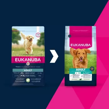Sucha karma dla psa EUKANUBA Adult Large Breed Lamb & Rice 12 kg – pełnoporcjowa sucha karma dla dorosłych psów ras dużych i olbrzymich