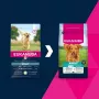 Sucha karma dla psa EUKANUBA Adult Large Breed Lamb & Rice 12 kg – pełnoporcjowa sucha karma dla dorosłych psów ras dużych i olbrzymich