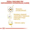 Sucha karma dla psa Royal Canin Chihuahua Adult 1.5 kg — Kurczak, 28% białka, rasa mała/X‑mała