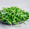 Nasiona na taśmie — Apte Rukola (Eruca sativa) 6 m do uprawy domowej i ogrodowej