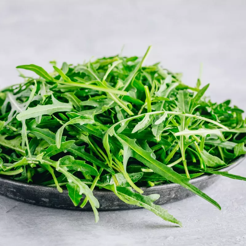 Nasiona na taśmie — Apte Rukola (Eruca sativa) 6 m do uprawy domowej i ogrodowej