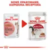 Mokra karma dla kota Royal Canin Instinctive 12 x 85 g — drób, dorosły, wsparcie zdrowia układu moczowego