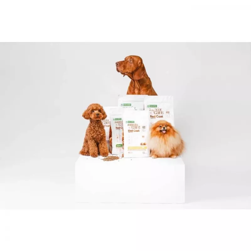 Sucha karma dla psa nature’s protection Superior Care czerwony Coat Adult Small breed Grain free Salmon 10 kg