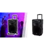 Przenośny głośnik karaoke MANTA SPK5021PRO 20W, woofer 12 cali, 80W RMS, Bluetooth, bateria do 5h, SD/USB, wejścia mikrofonowe i gitarowe