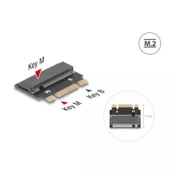 DELOCK 64342 Wewnętrzny adapter M.2 Interfejs hosta M.2 Męski Czarny