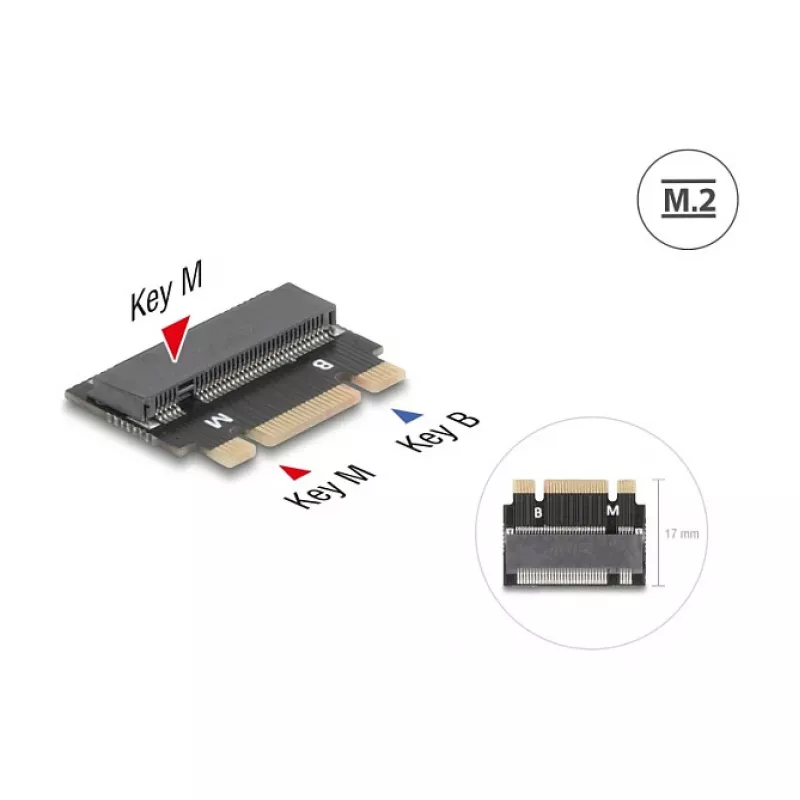 DELOCK 64342 Wewnętrzny adapter M.2 Interfejs hosta M.2 Męski Czarny