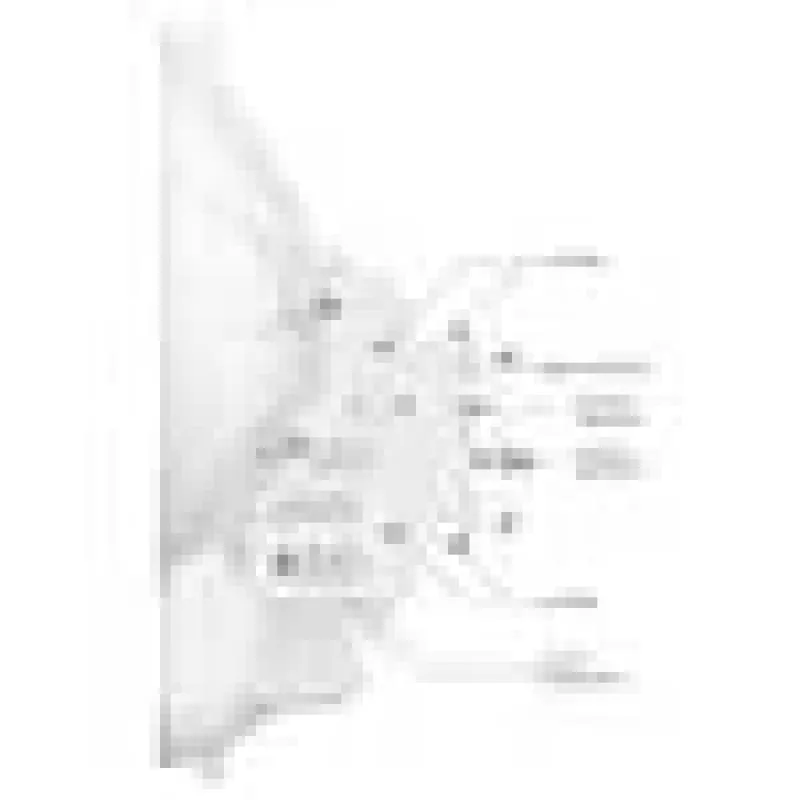 Ubiquiti AirFiber AF-24HD, łącze dosyłowe 2 Gb/s+, 24 GHz (cena za sztukę) 2 Gb/s+