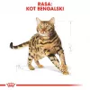 Sucha karma dla kota Royal Canin Bengal Adult 2 kg — drób, 40% białka, 18% tłuszczu, pielęgnacja układu pokarmowego i skóry