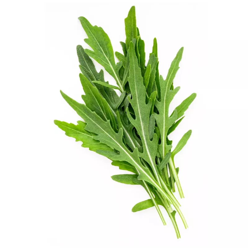 Nasiona na taśmie — Apte Rukola (Eruca sativa) 6 m do uprawy domowej i ogrodowej