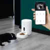 Automatyczny karmnik dla zwierząt Tellur TLL331461 z kamerą UltraHD, 4 L, biały