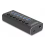 DeLOCK 64326 koncentrator interfejsów USB 3.2 Gen 2 (3.1 Gen 2) Type-C 10000 Mbit/s Czarny