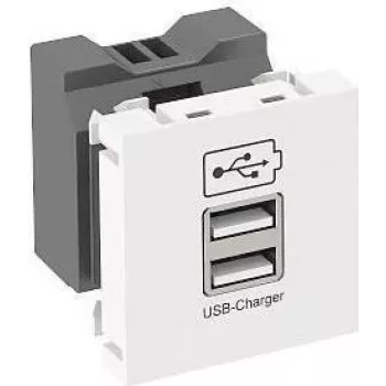 Ładowarka USB OBO m. 2.1A Ladestrom MTG-2UC2.1 RW1 - 45 x 45 mm (6105300)