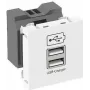 Ładowarka USB OBO m. 2.1A Ladestrom MTG-2UC2.1 RW1 - 45 x 45 mm (6105300)