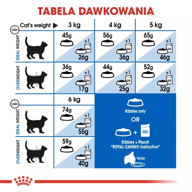 Sucha karma dla kota Royal Canin Home Life Indoor 27 dla dorosłych kotów domowych, kurczak, 4 kg