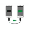 Kabel USB DeLOCK 83570 USB 2.0 0,3 m USB B Czarny