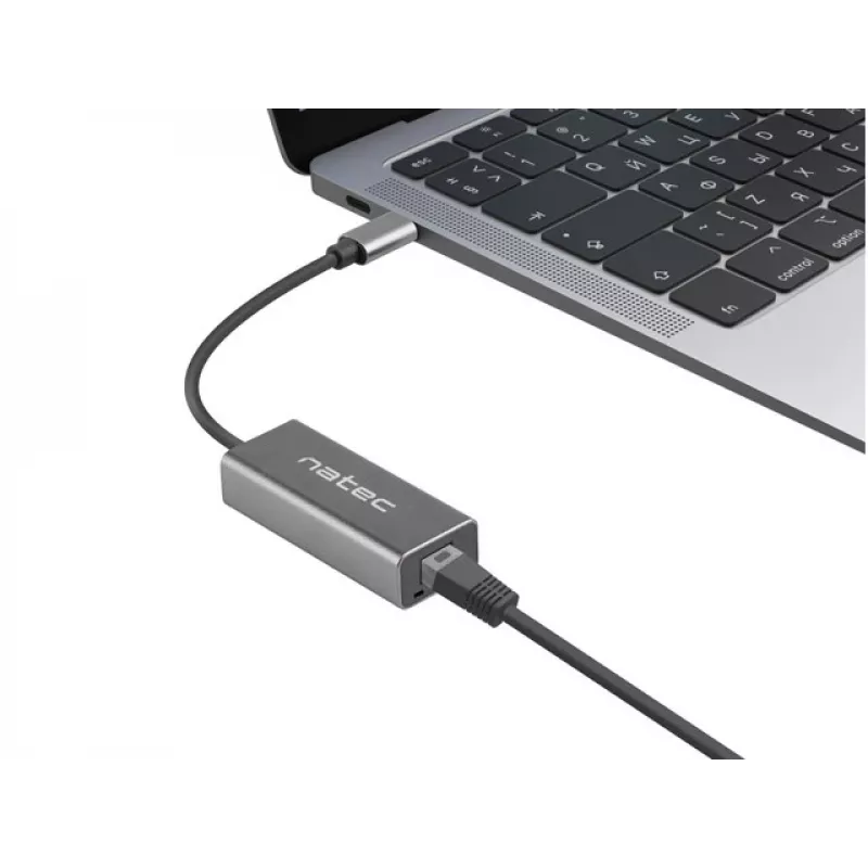 NATEC Cricket USB 3.2 Gen 1 Type-C Szary Hub Ethernet 1000 Mbit/s