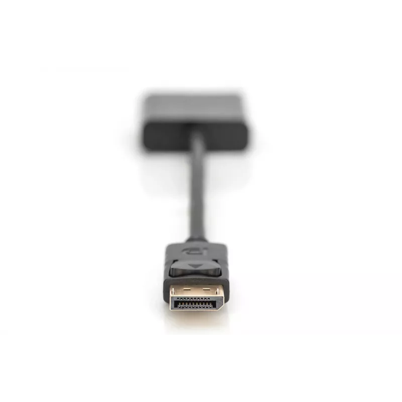 Digitus DisplayPort Adapter / Konwerter