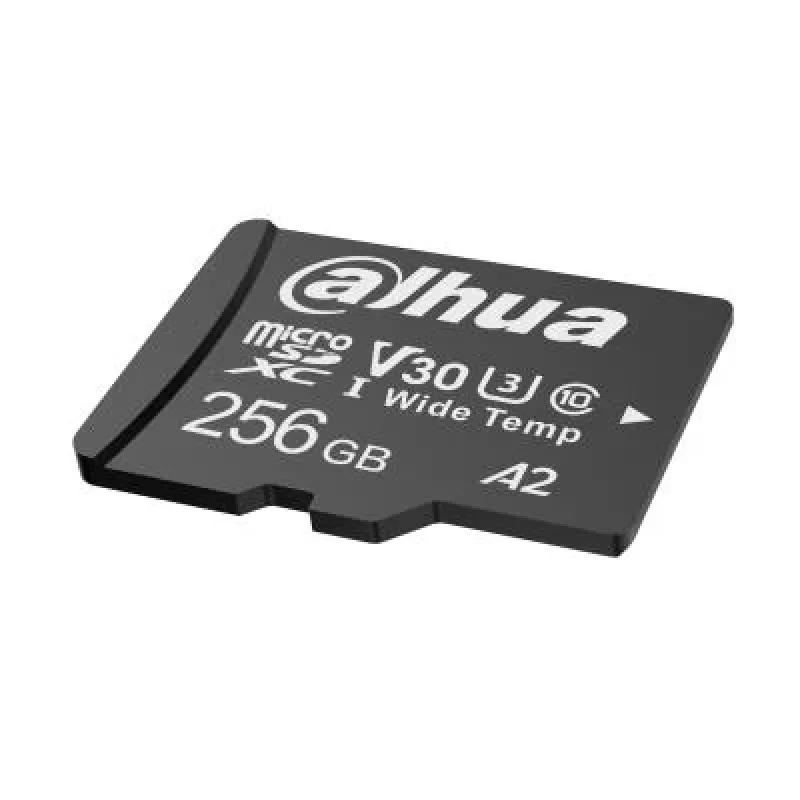 Karta pamięci 256 GB DAHUA TF-W100-256GB