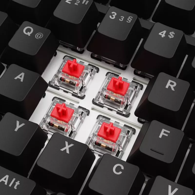Sharkoon SGK25 Klawiatura Dom USB QWERTZ Niemiecki Czarny 75% RGB LED