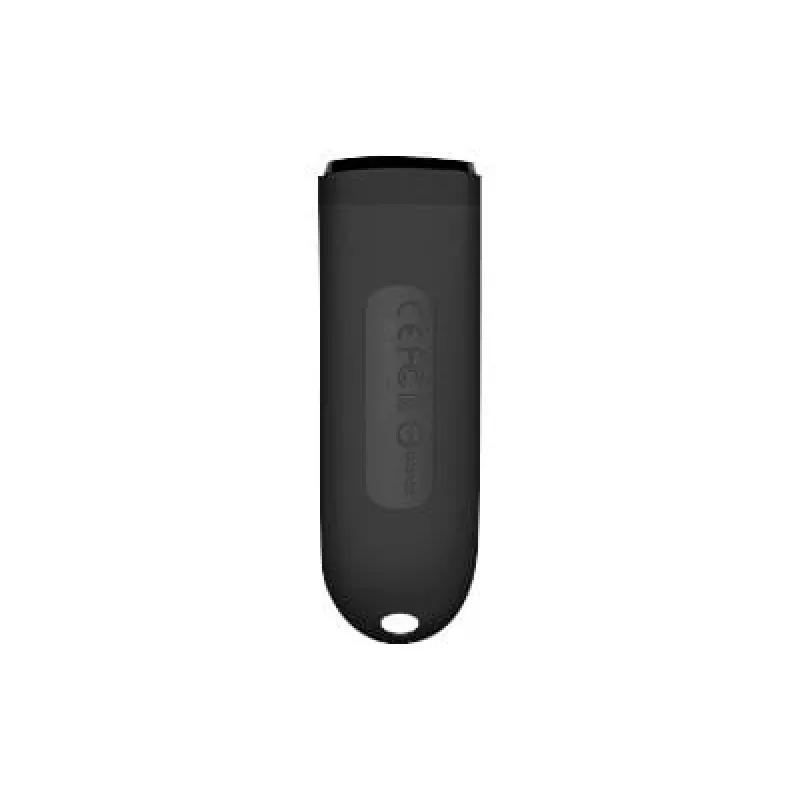 Transcend JetFlash 790 256GB Czarny