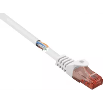 Kabel krosowy Ethernet Renkforce RF-5044028 biały
