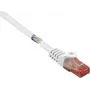 Kabel krosowy Ethernet Renkforce RF-5044028 biały