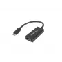Adapter kablowy wideo Lanberg AD-UC-DP-01