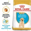 ROYAL CANIN SHN Breed Labrador Junior karma sucha dla psa - 12 kg