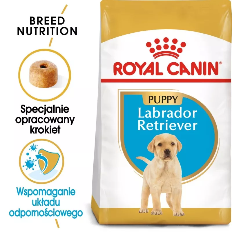 ROYAL CANIN SHN Breed Labrador Junior karma sucha dla psa - 12 kg