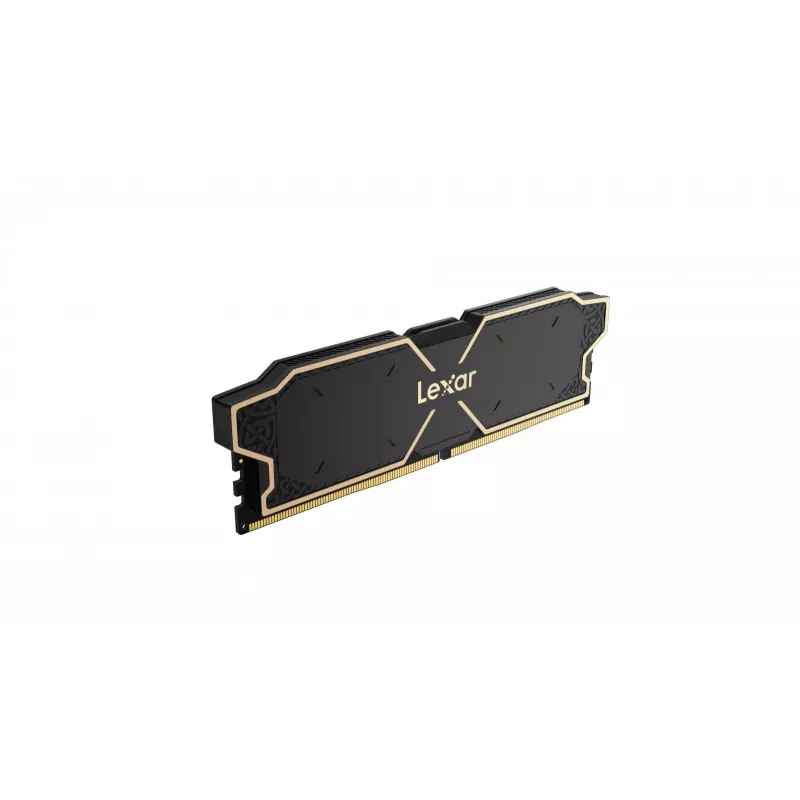 Lexar LD5U08G60C38LG-RGD Memory Module
