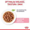 Mokra karma dla kota Royal Canin Sterilised Gravy, 12 x 85 g saszetek — kurczak, dla kastrowanych/wysterylizowanych kociąt, 11% białka, 80,5% wilgotności