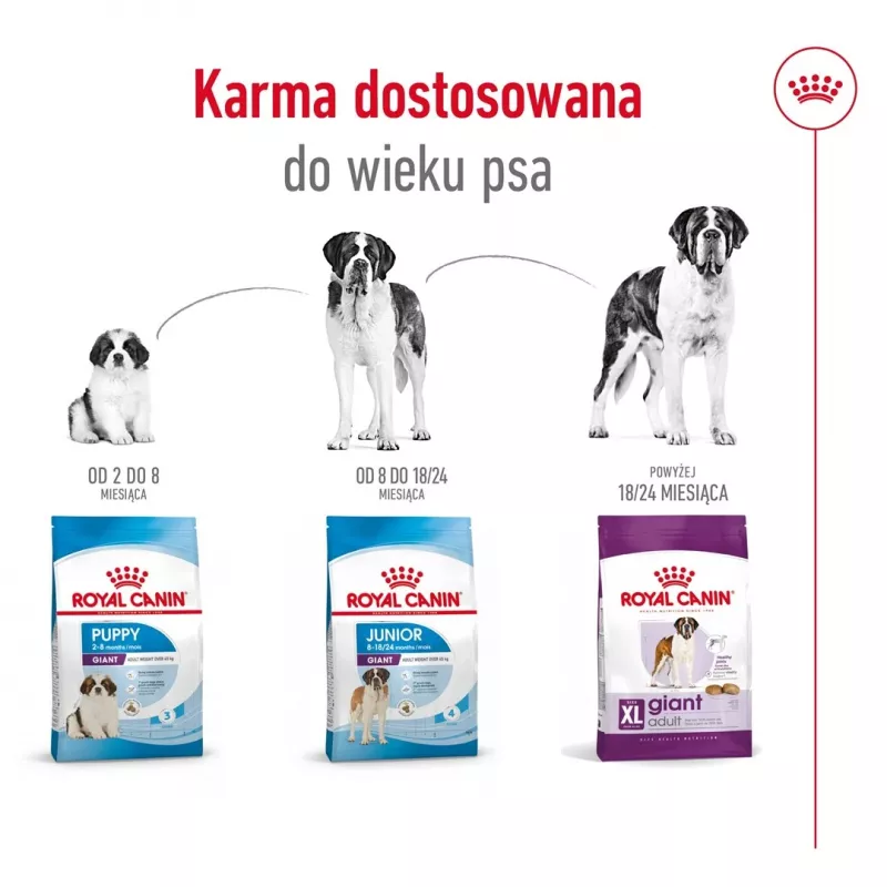 ROYAL CANIN Giant Adult - sucha karma dla psów - 15 kg