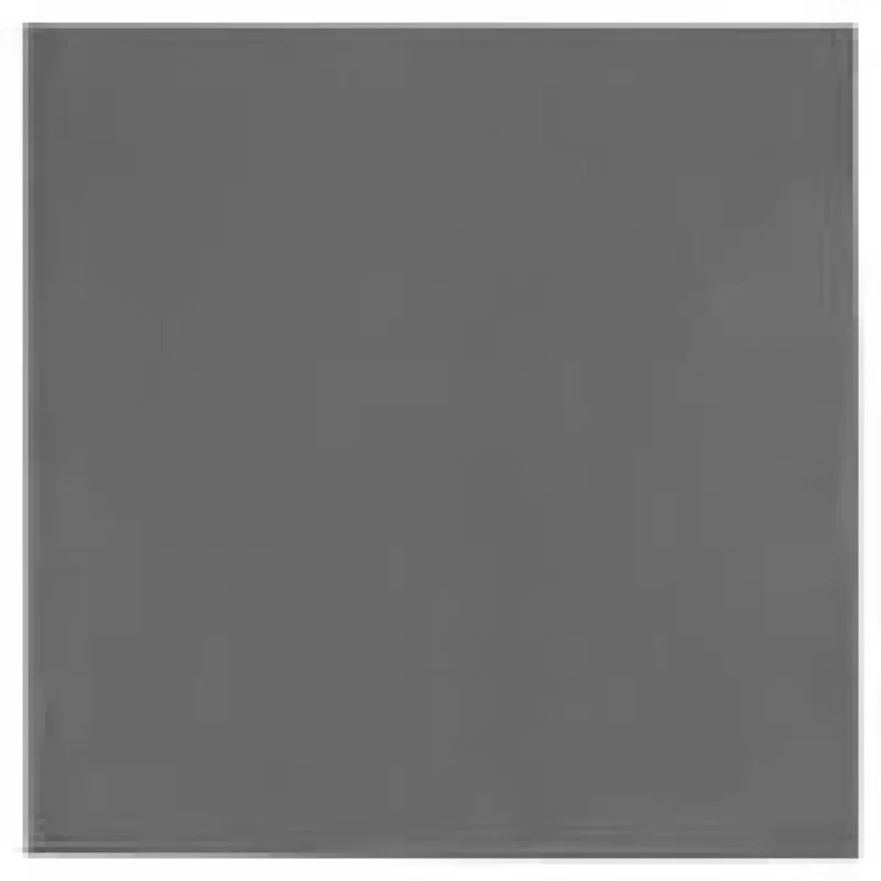 Thermal Grizzly TG Minus Pad Extreme V2 - 100x 1.0mm (TG-MP-E2-100-100-10)