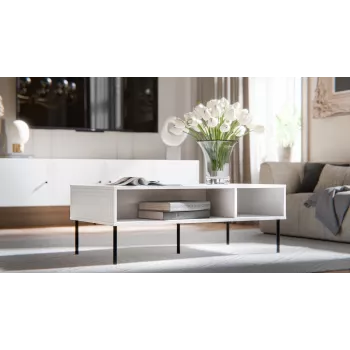 PALAZZO BIS table/latrine 110x60x40 biały matowy