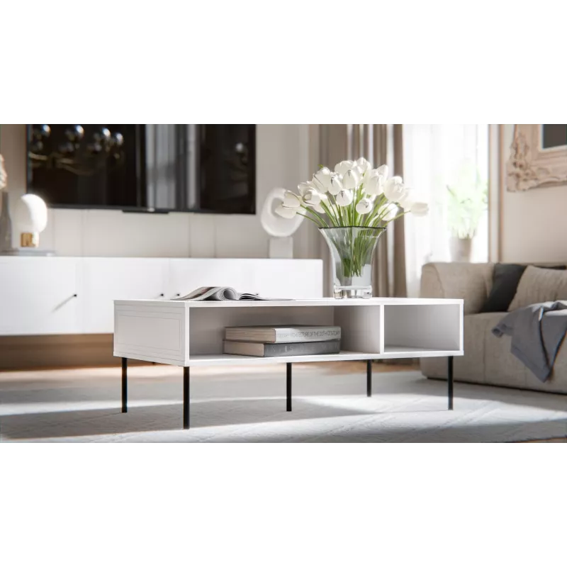 PALAZZO BIS table/latrine 110x60x40 biały matowy